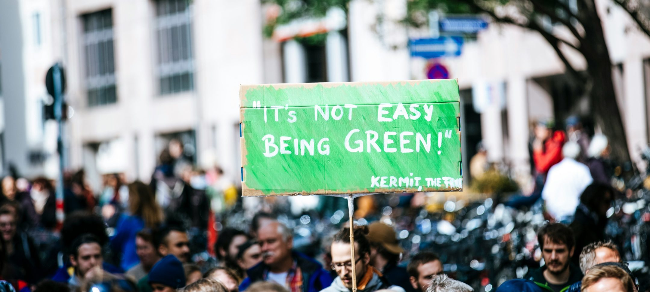 Why climate leadership requires inner work – Dr. Barbara Kump